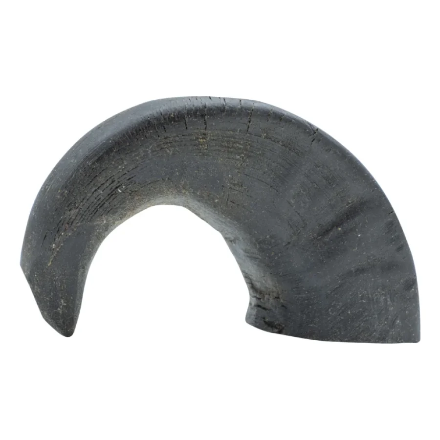 Bubimex Corne de buffle S