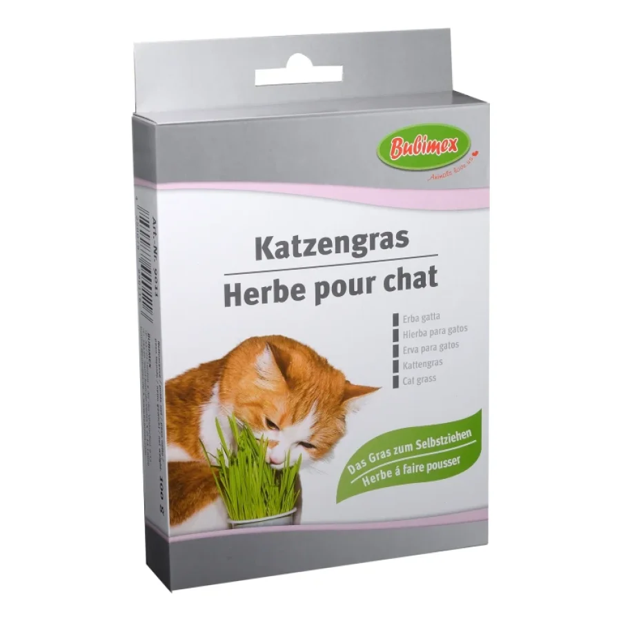 Bubimex Herbe pour chat 100g