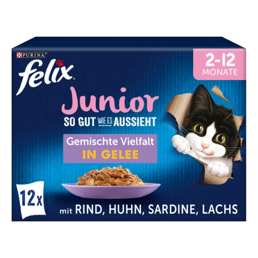 Felix Aussi bon que beau Junior 12 x 85 g