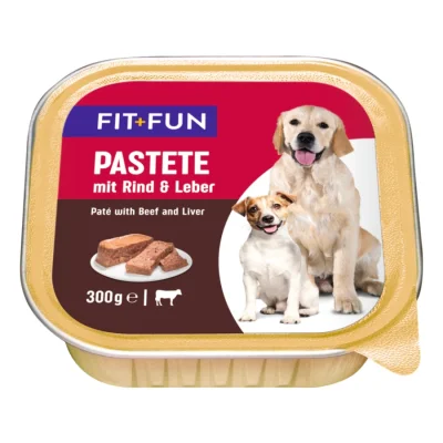 FIT+FUN Boîtes de Patée Chien Adulte au bœuf et foie 9x300 g