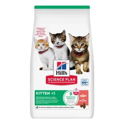 Hill's Science Plan croquettes pour chatons, Saumon 7 kg