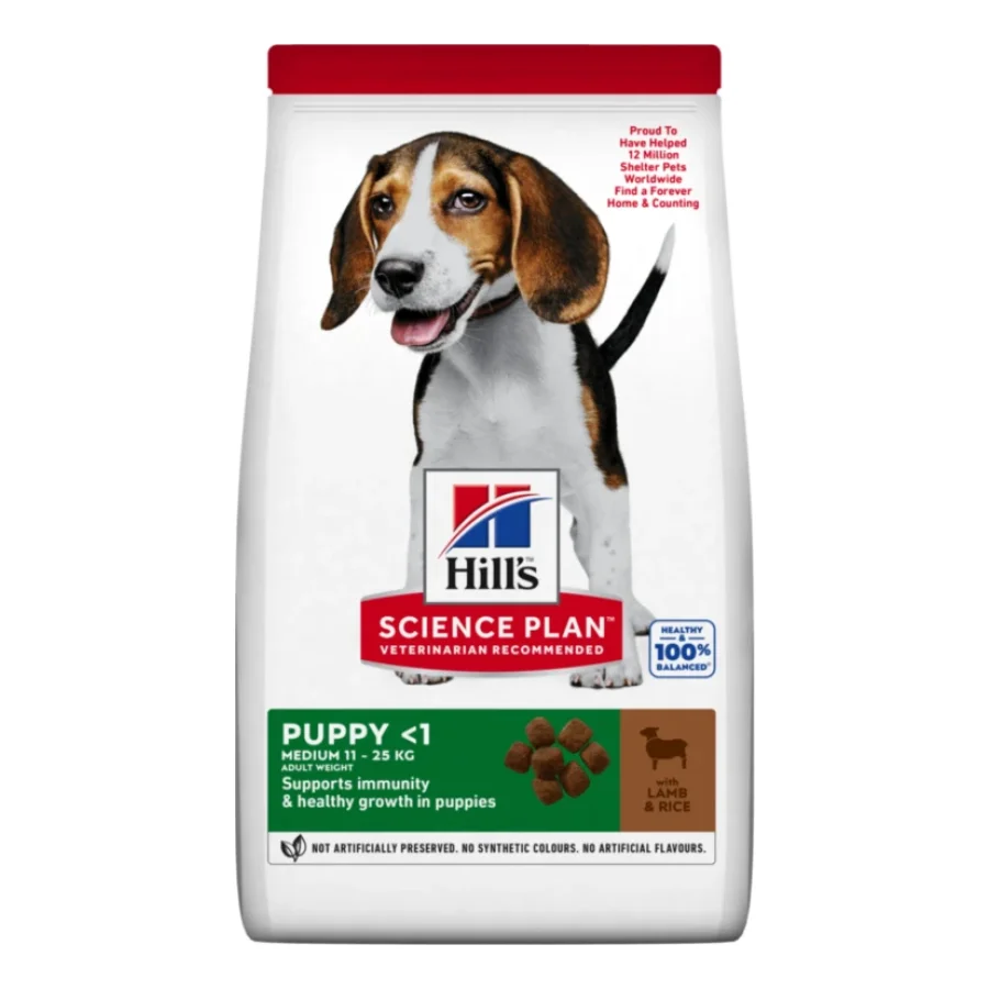 Hill's Science Plan Medium nourriture pour chiots, avec DHA issu d’huile de poisson Agneau et riz 14 kg