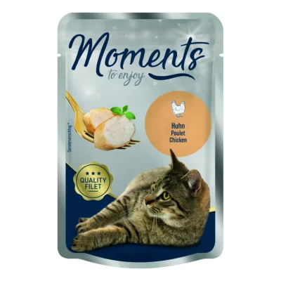 MOMENTS Adult Poulet 12x70 g