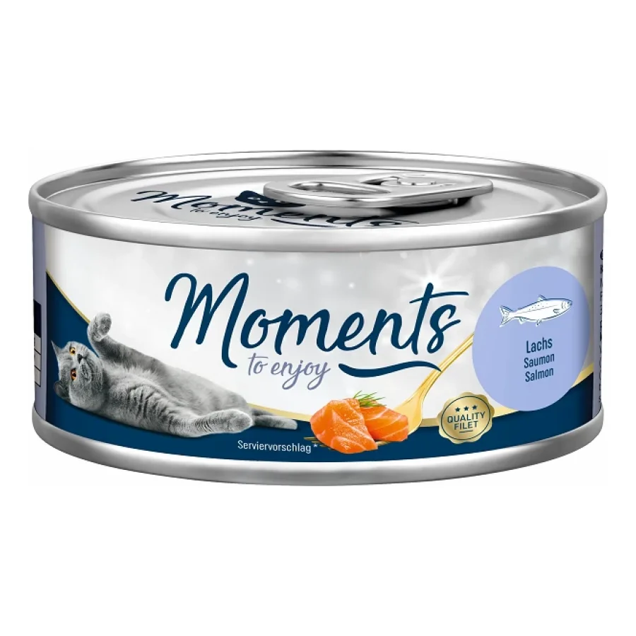 MOMENTS Adult Saumon 24x70 g