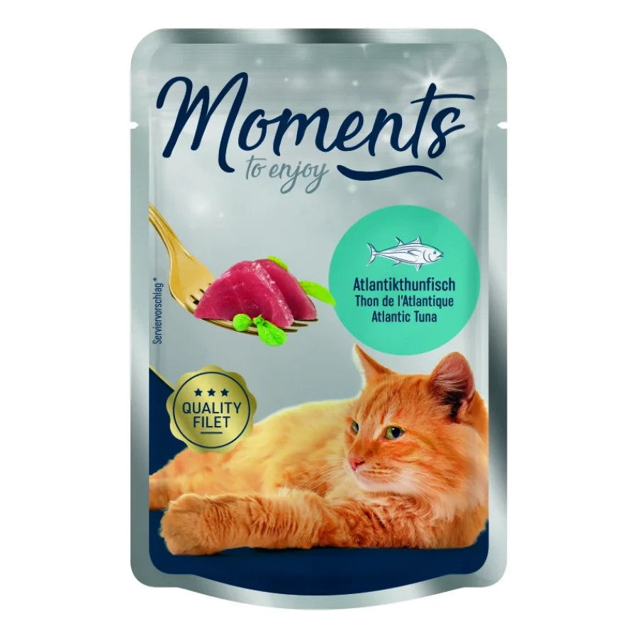 MOMENTS Adult Thon Atlantique 12x70 g