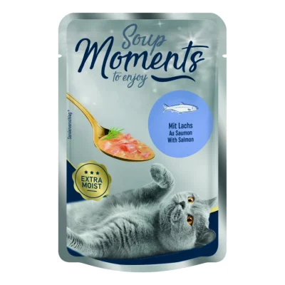 MOMENTS My Soup Saumon 12x40 g