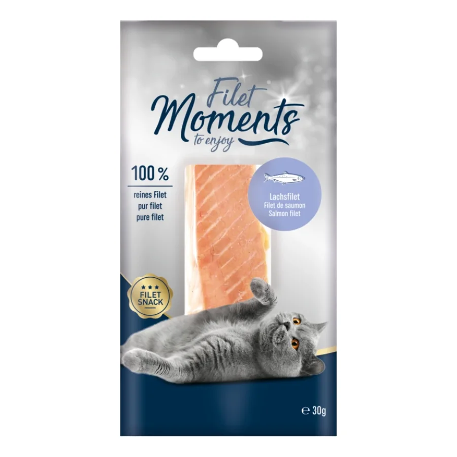 MOMENTS Snack de Filet Saumon 10x30 g