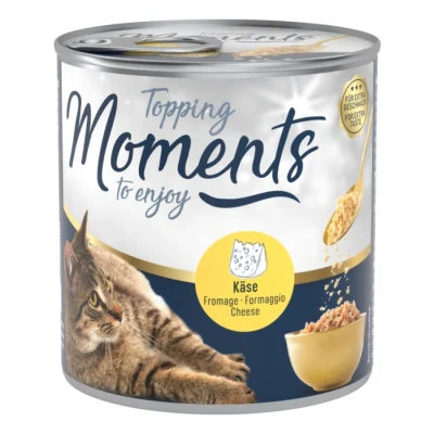 MOMENTS Topping Powder Fromage 8x35 g