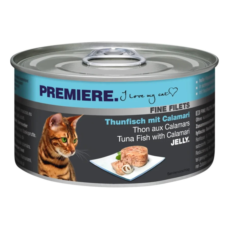 PREMIERE Fine Filets Thunfisch mit Calamari 48x100 g