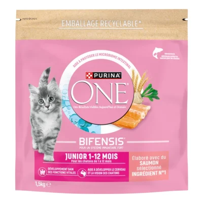 Purina ONE Croquettes Junior de 1 à 12 mois au Saumon 1,5 kg