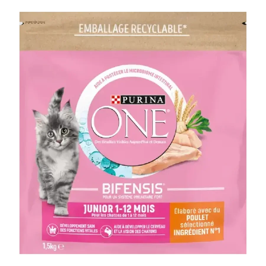 Purina ONE Croquettes Junior pour Chaton de 1 à 12 mois au Poulet 1,5 kg