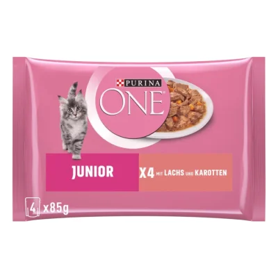 Purina ONE Junior Nourriture pour chaton tendre humide en sauce saumon 12x4x85 g