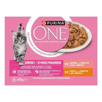 Purina ONE - Sachets pour Chaton au Saumon, au Poulet et aux Carottes 8 x 85 g