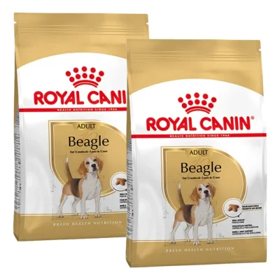 ROYAL CANIN Beagle Adulte Croquettes Chien 2x12 kg