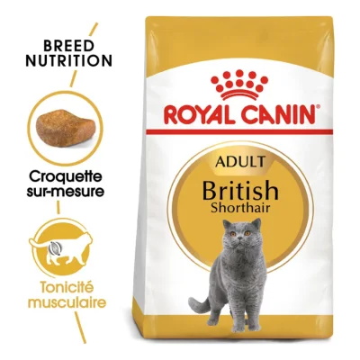ROYAL CANIN British Shorthair Adulte Croquettes Chat 2 kg
