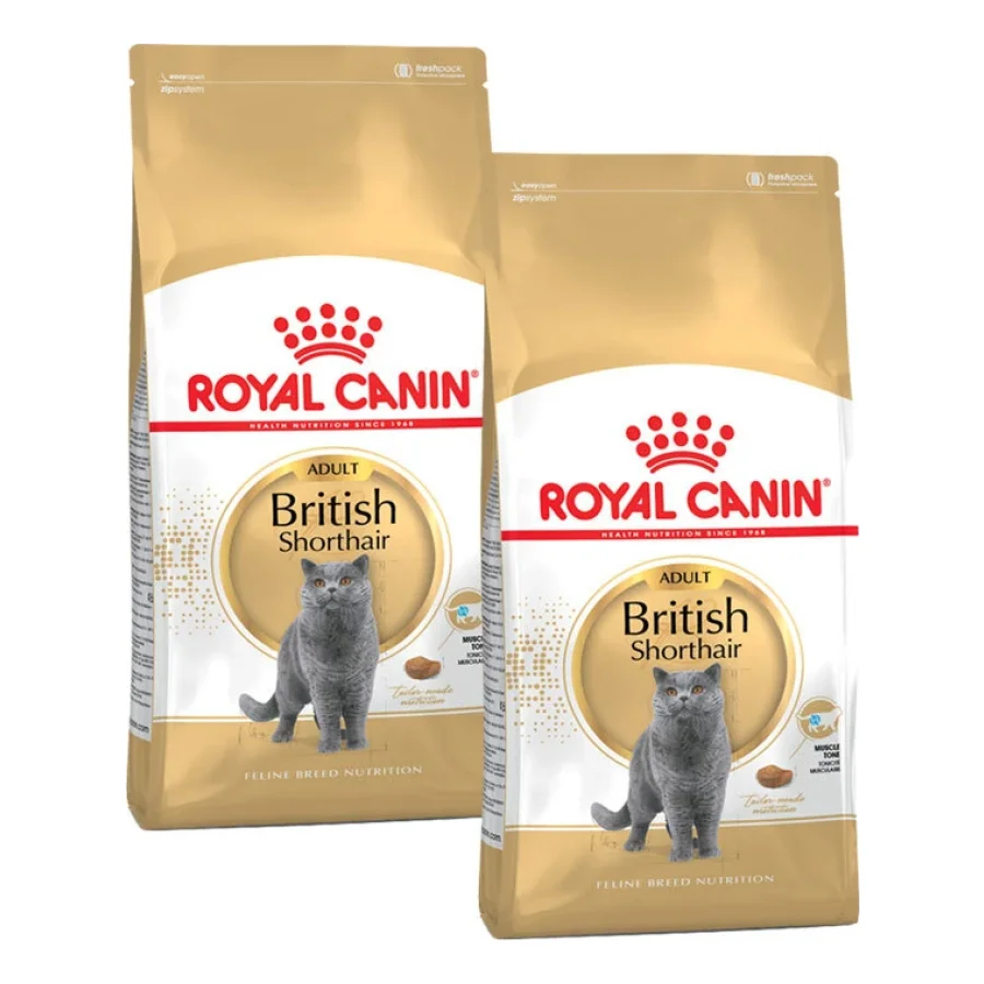 ROYAL CANIN British Shorthair Adulte Croquettes Chat 2x10 kg