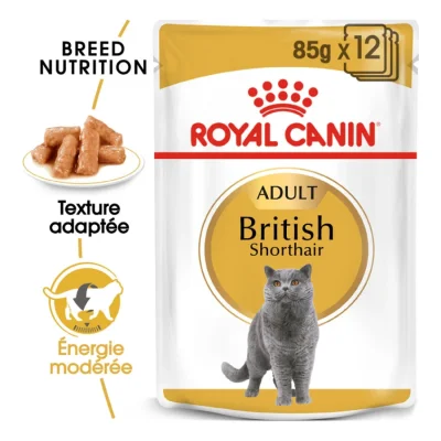 ROYAL CANIN British Shorthair Adulte en sauce 12x85 g
