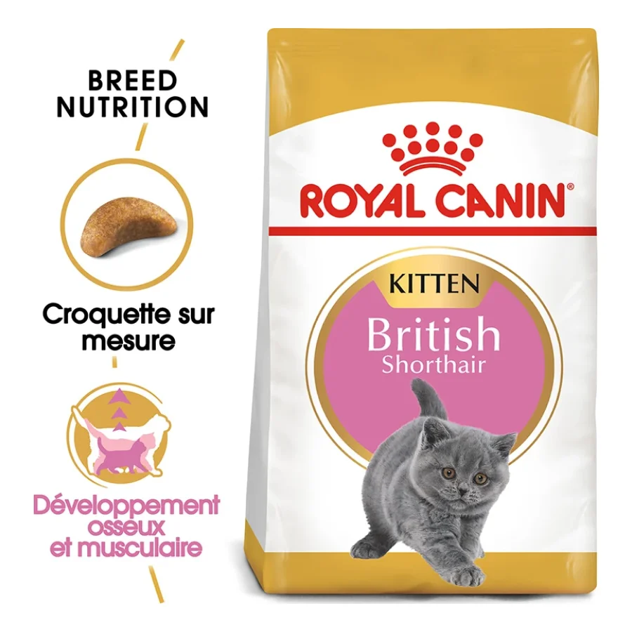 ROYAL CANIN British Shorthair Chaton Croquettes Chat 2 kg