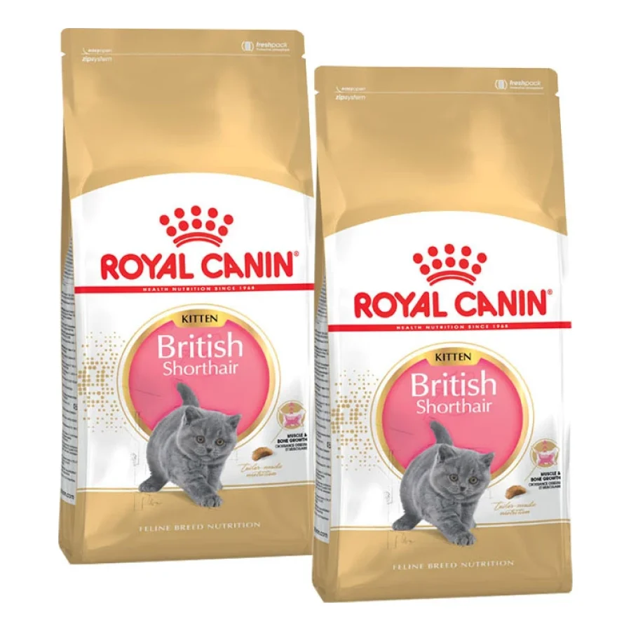 ROYAL CANIN British Shorthair Chaton Croquettes Chat 2x10 kg