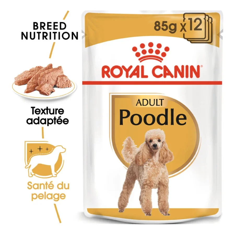 ROYAL CANIN Caniche Adulte en Sauce 12x85 g