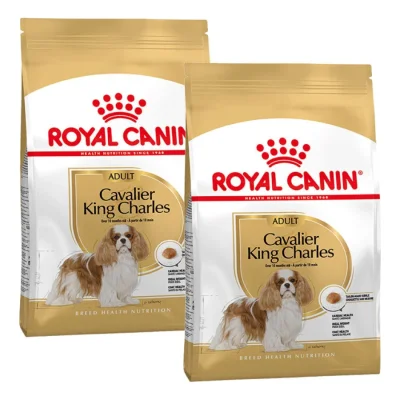 ROYAL CANIN Cavalier King Charles Adulte Croquettes Chien 2x1,5 kg