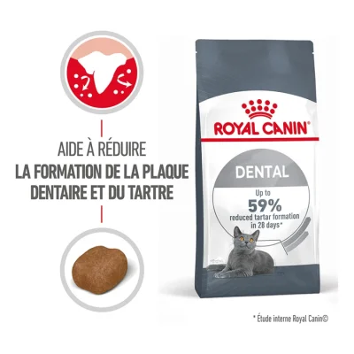 ROYAL CANIN Dental Care Croquettes Chat 3,5 kg