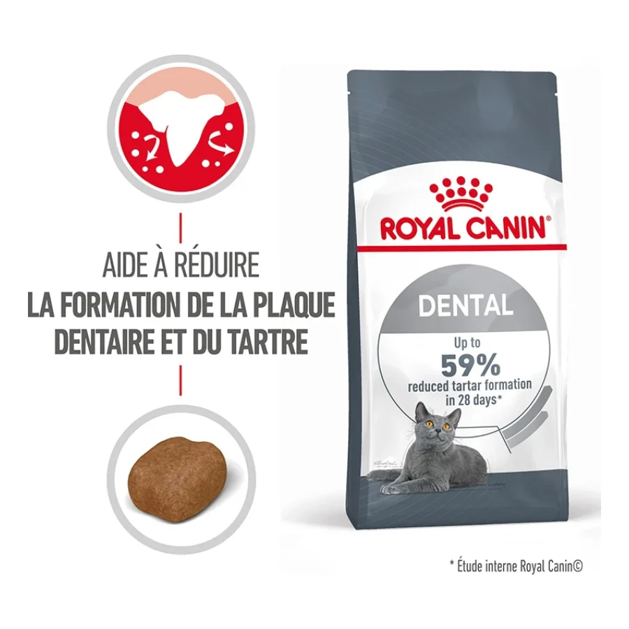 ROYAL CANIN Dental Care Croquettes Chat 3,5 kg