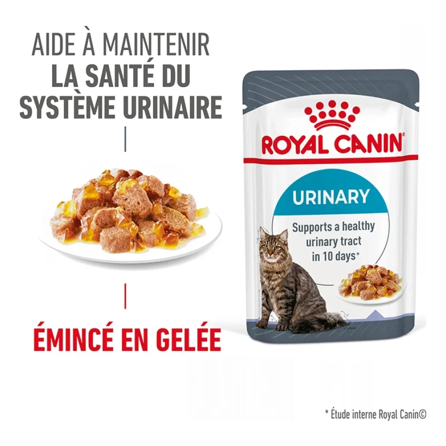 ROYAL CANIN FCN Urinary Care Jelly 12 x 85 g