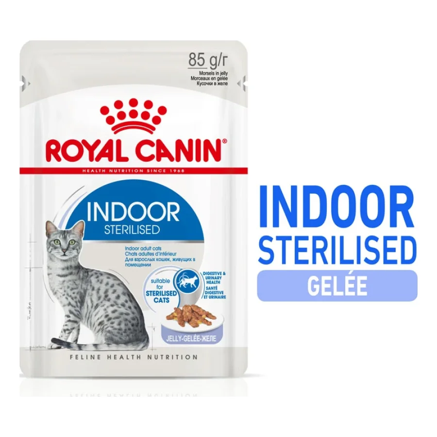 ROYAL CANIN Indoor Sterilised Adult en gelée 12x85 g