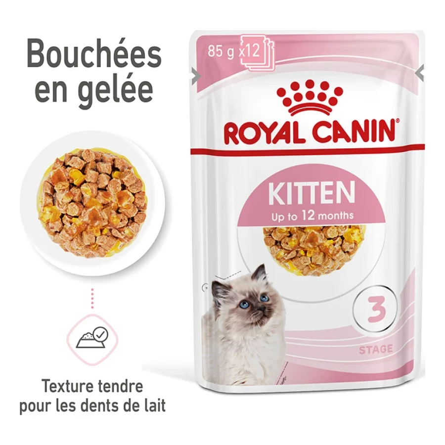 ROYAL CANIN Kitten en gelée 12x85 g