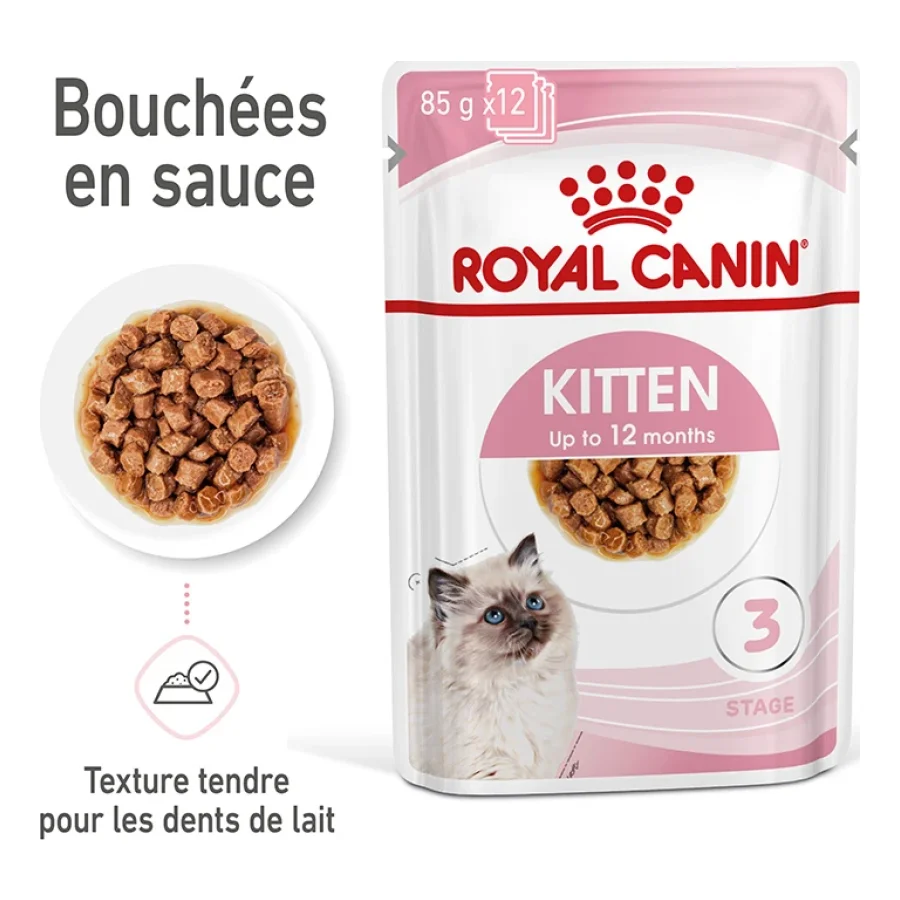 ROYAL CANIN Kitten en sauce 12x85 g
