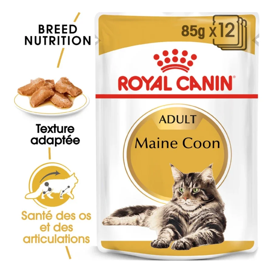 ROYAL CANIN Maine Coon Adult en sauce 12x85 g