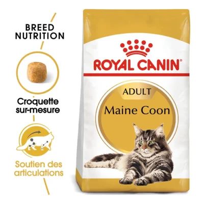 ROYAL CANIN Maine Coon Adulte Croquettes Chat 10 kg