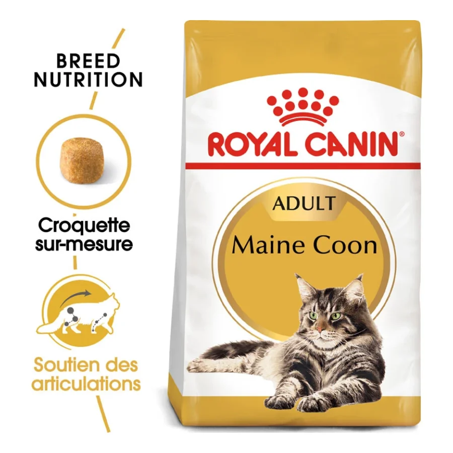 ROYAL CANIN Maine Coon Adulte Croquettes Chat 10 kg