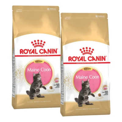 ROYAL CANIN Maine Coon Chaton Croquettes Chat 2x10 kg