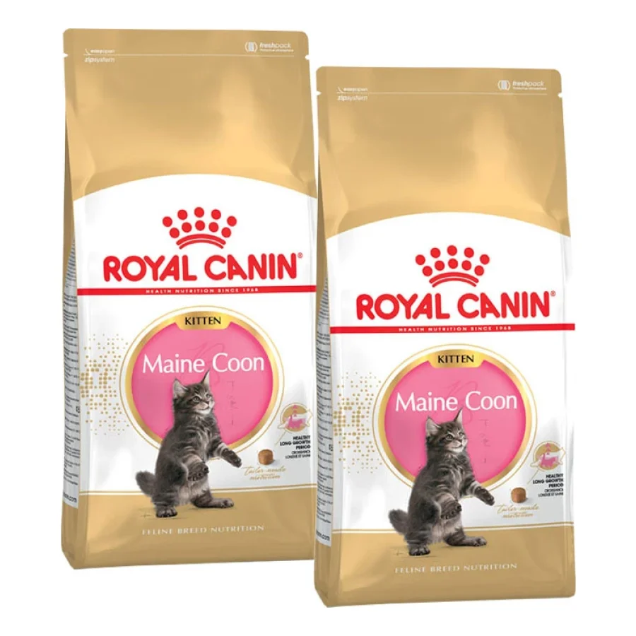 ROYAL CANIN Maine Coon Chaton Croquettes Chat 2x10 kg