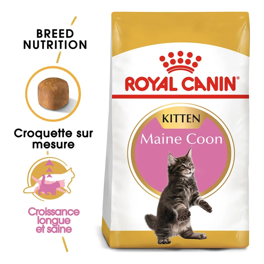 ROYAL CANIN Maine Coon Chaton Croquettes Chat 4 kg