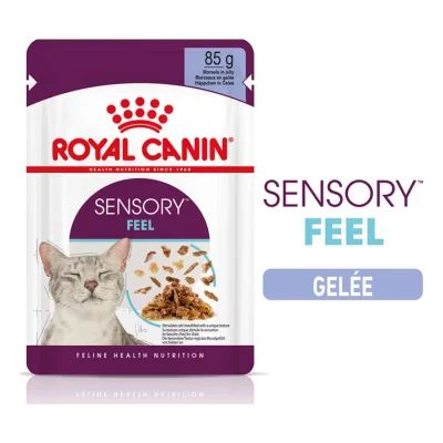 ROYAL CANIN Sensory Feel Nourriture humide Chat 12 x 85 g