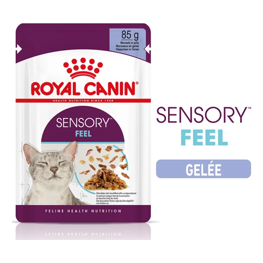 ROYAL CANIN Sensory Feel Nourriture humide Chat 12 x 85 g