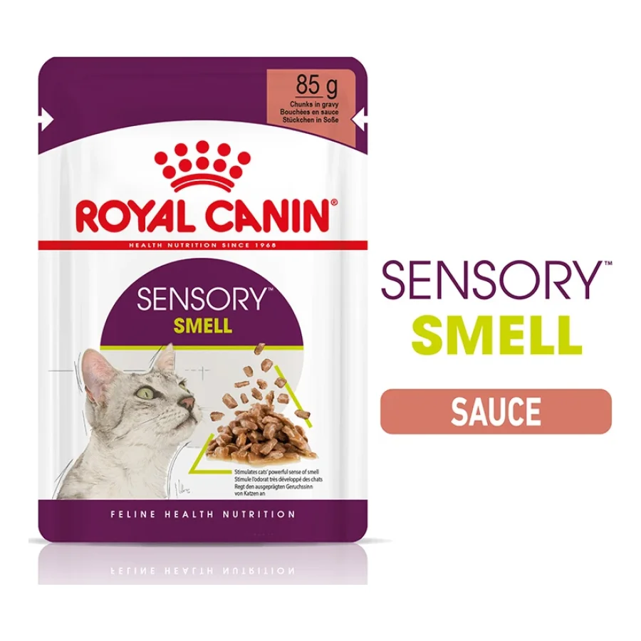 ROYAL CANIN Sensory Smell en sauce pour chats exigeants 48x85 g