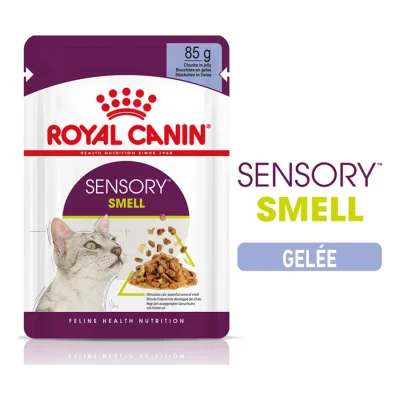 ROYAL CANIN Sensory Smell Nourriture humide Chat 12 x 85 g
