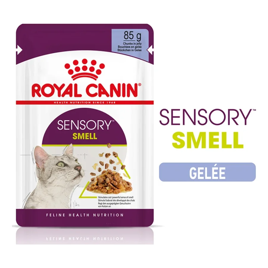 ROYAL CANIN Sensory Smell Nourriture humide Chat 12 x 85 g