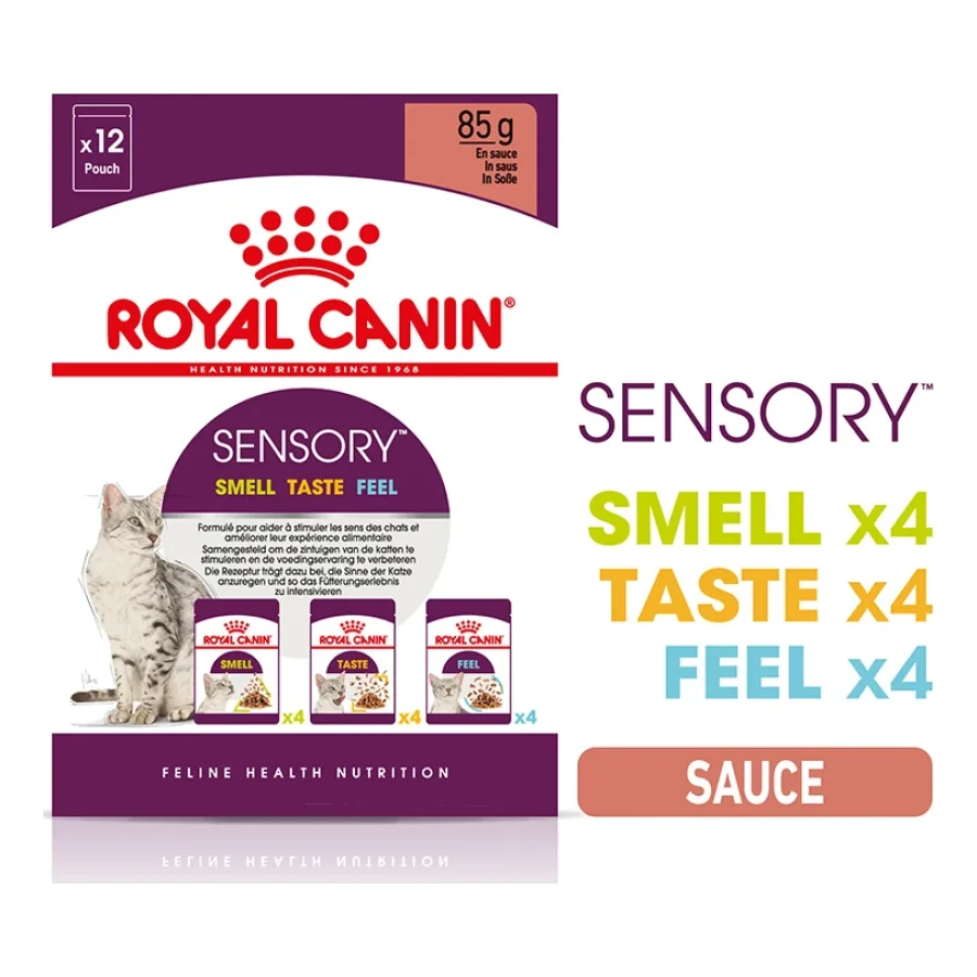 ROYAL CANIN Sensory Smell Taste Feel Multipack en sauce 12x85 g