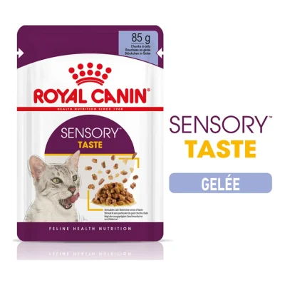 ROYAL CANIN Sensory Taste Nourriture humide Chat 12 x 85 g