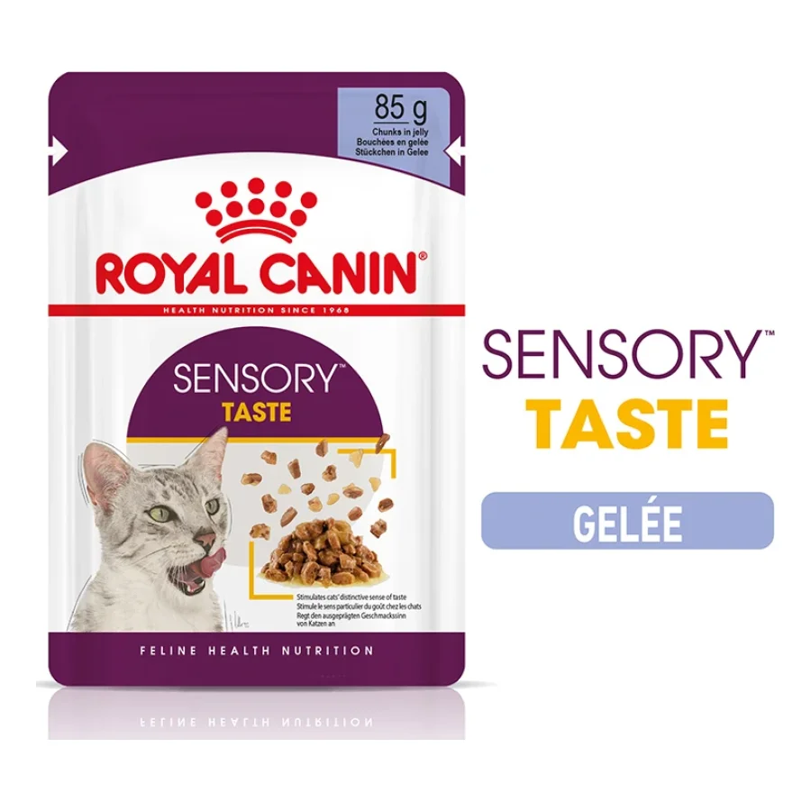 ROYAL CANIN Sensory Taste Nourriture humide Chat 12 x 85 g