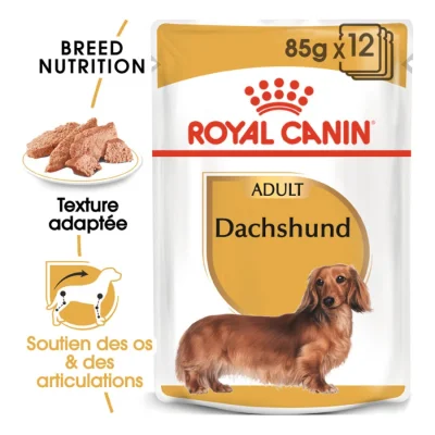 ROYAL CANIN Teckel Adulte Mousse 12x85 g