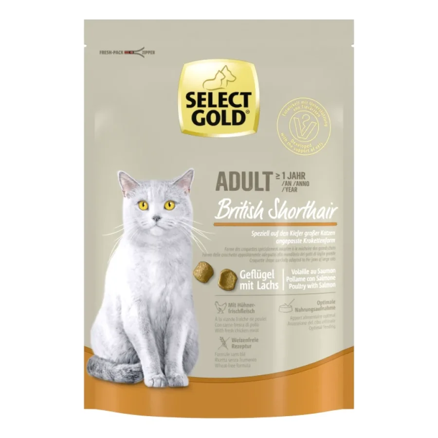 SELECT GOLD British Shorthair Croquettes Chat Adulte Volaille & saumon 300 g