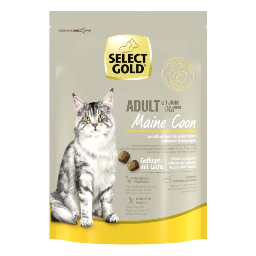 SELECT GOLD Maine Coon Croquettes Chat Adulte Volaille & saumon 300 g
